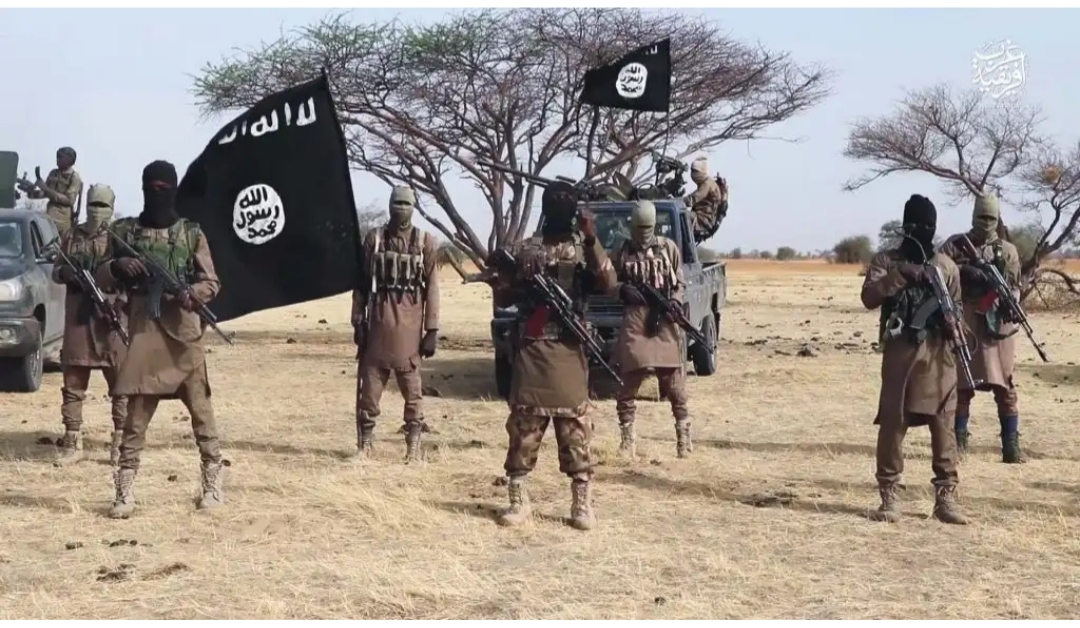 UAE court convicts 6 Nigerians for wiring $782,000 to Boko Haram and an FG official was indicted