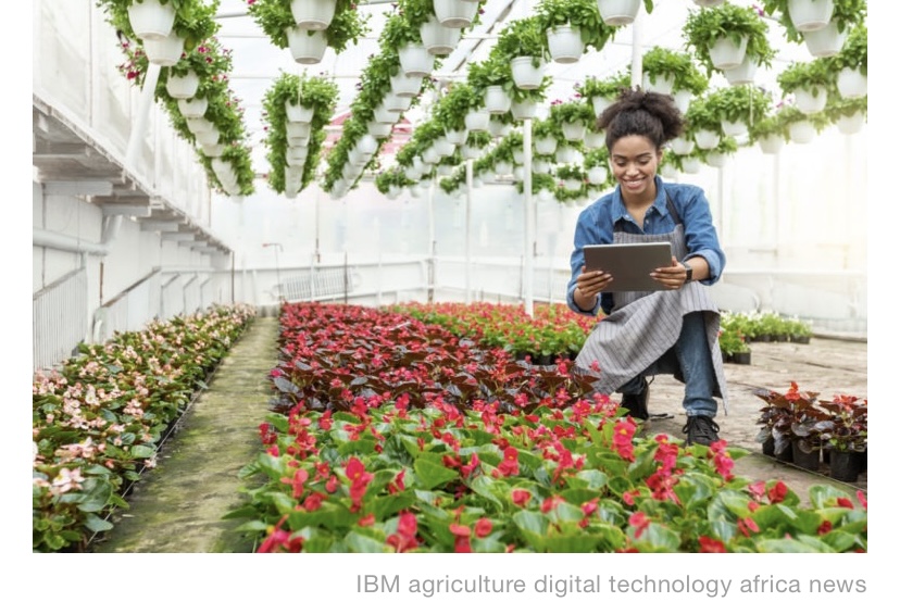 IBM Announced  Support for Digital Agriculture Startups in Africa